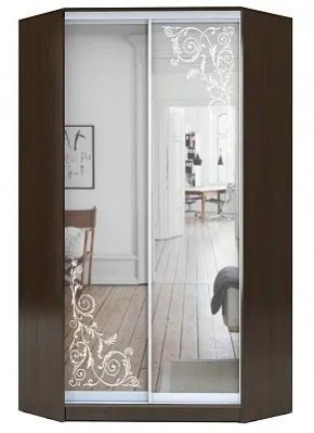 Шкаф-купе ХИТ-У-R-22-64-66 ОРНАМЕНТ в Ревде - revda.mebel24.online | фото