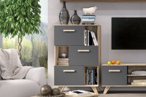 Шкаф низкий с нишами Вега Скандинавия в Ревде - revda.mebel24.online | фото 6