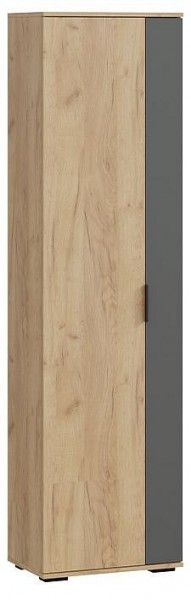 Шкаф платяной Эвита в Ревде - revda.mebel24.online | фото