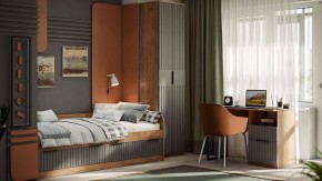 Шкаф платяной Хилтон Исп. 2 в Ревде - revda.mebel24.online | фото 5