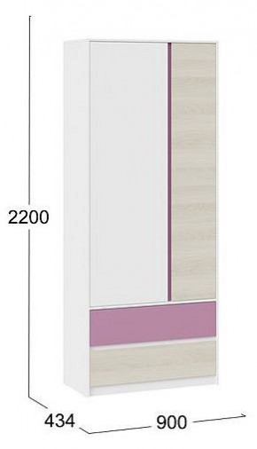 Шкаф платяной Сканди в Ревде - revda.mebel24.online | фото 5