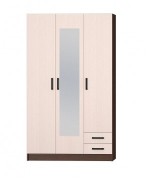 Шкаф распашной Эконом + Зеркало (Венге/Дуб Белфорд) в Ревде - revda.mebel24.online | фото 3