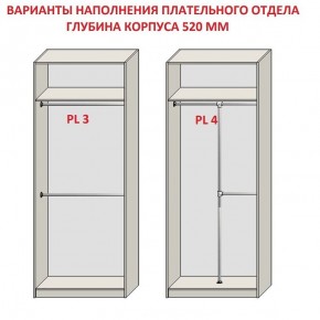 Шкаф распашной серия «ЗЕВС» (PL3/С1/PL2) Серый камень/Небраска натуральный в Ревде - revda.mebel24.online | фото 10