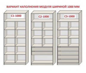 Шкаф распашной серия «ЗЕВС» (PL3/С1/PL2) Серый камень/Небраска натуральный в Ревде - revda.mebel24.online | фото 7