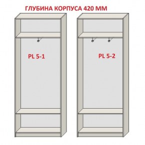 Шкаф распашной серия «ЗЕВС» (PL3/С1/PL2) Серый камень/Небраска натуральный в Ревде - revda.mebel24.online | фото 8
