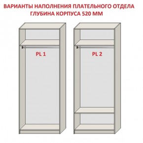 Шкаф распашной серия «ЗЕВС» (PL3/С1/PL2) Серый камень/Небраска натуральный в Ревде - revda.mebel24.online | фото 9