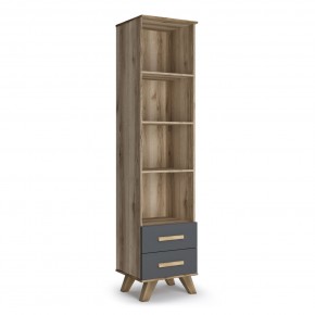 Шкаф-стеллаж 450 Вега Скандинавия в Ревде - revda.mebel24.online | фото 4