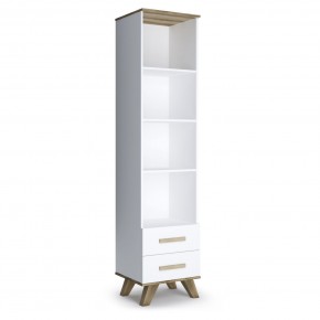 Шкаф-стеллаж 450 Вега Скандинавия в Ревде - revda.mebel24.online | фото 3
