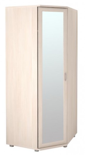 Шкаф угловой для одежды Ника-Люкс 30 без зеркал в Ревде - revda.mebel24.online | фото 1
