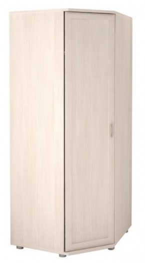 Шкаф угловой для одежды Ника-Люкс 30 без зеркал в Ревде - revda.mebel24.online | фото 2