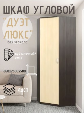 Шкаф угловой Дуэт Люкс без зеркала в Ревде - revda.mebel24.online | фото 3