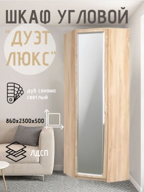 Шкаф угловой Дуэт Люкс с зеркалом в Ревде - revda.mebel24.online | фото