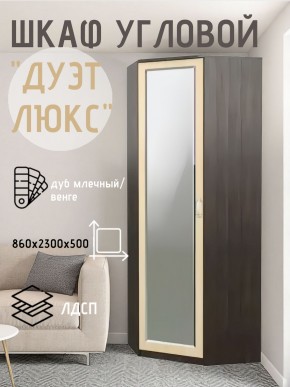 Шкаф угловой Дуэт Люкс с зеркалом в Ревде - revda.mebel24.online | фото 5