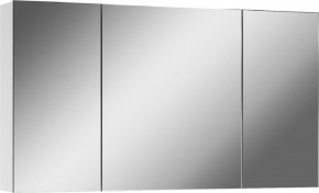 Шкаф-зеркало Мечта 100 АЙСБЕРГ (DM2322HZ) в Ревде - revda.mebel24.online | фото 1