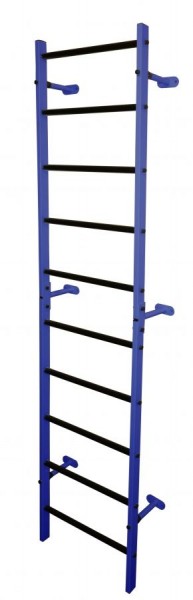 Шведская стенка (профиль) 450х2210мм цв. синий-черный в Ревде - revda.mebel24.online | фото