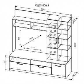 СОФИ Гостиная (модульная) дуб сонома/белый глянец в Ревде - revda.mebel24.online | фото 9