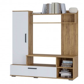 Гостиная Евро 2 (крафт/белый) в Ревде - revda.mebel24.online | фото 3
