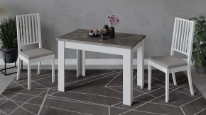Стол обеденный Промо Тип 4 в Ревде - revda.mebel24.online | фото 6