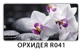 Стол раздвижной Бриз орхидея R041 Кофе R012 в Ревде - revda.mebel24.online | фото 1