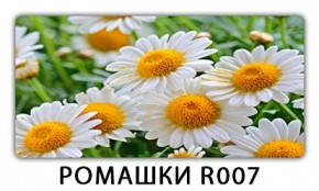 Стол раздвижной Трилогия с фотопечатью Доска D111 в Ревде - revda.mebel24.online | фото 15