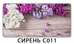 Стол раздвижной Трилогия с фотопечатью Доска D111 в Ревде - revda.mebel24.online | фото 16