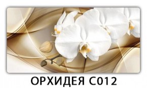 Стол раздвижной Трилогия с фотопечатью Доска D112 в Ревде - revda.mebel24.online | фото 13