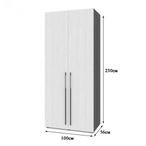 СТОУН С22 Шкаф 2-х створчатый (золотой дуб/графит) в Ревде - revda.mebel24.online | фото 2