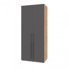 СТОУН С23 Шкаф 2-х створчатый (дуб золотой/графит) в Ревде - revda.mebel24.online | фото 1