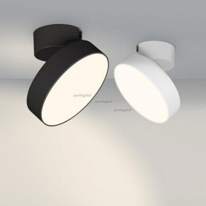 Светильник на штанге Arlight SP-RONDO-FLAP-R210-20W Day4000 (BK, 110 deg) 026453 в Ревде - revda.mebel24.online | фото 3