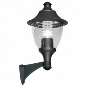 Светильник на штанге Fumagalli Gino F50.254.000.AXE27 в Ревде - revda.mebel24.online | фото 2