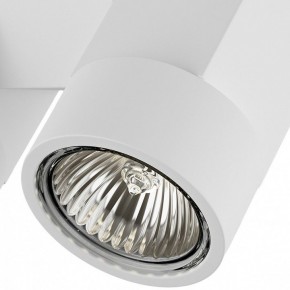 Светильник на штанге Lightstar Illumo X2 051036 в Ревде - revda.mebel24.online | фото 2