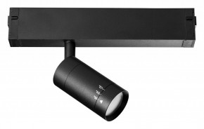 Светильник на штанге Lightstar Teta 205017 в Ревде - revda.mebel24.online | фото 2