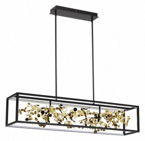 Светильник на штанге Odeon Light Bild 5065/65L в Ревде - revda.mebel24.online | фото