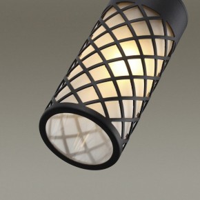 Светильник на штанге Odeon Light Dunes 4834/1W в Ревде - revda.mebel24.online | фото 5
