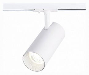 Светильник на штанге ST-Luce Mono ST350.536.30.36 в Ревде - revda.mebel24.online | фото 2