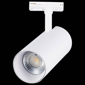 Светильник на штанге ST-Luce Mono ST350.536.30.36 в Ревде - revda.mebel24.online | фото 6