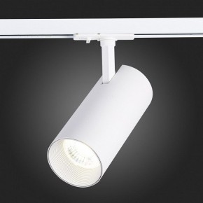 Светильник на штанге ST-Luce Mono ST350.536.30.36 в Ревде - revda.mebel24.online | фото 9