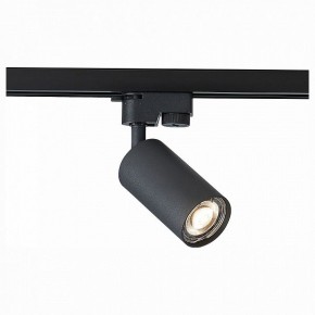 Светильник на штанге ST-Luce Solt ST300.406.01 в Ревде - revda.mebel24.online | фото 1