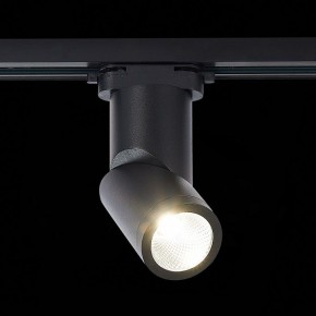 Светильник на штанге ST-Luce ST650 ST650.436.10 в Ревде - revda.mebel24.online | фото 3