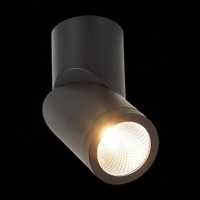 Светильник на штанге ST-Luce ST650 ST650.442.10 в Ревде - revda.mebel24.online | фото 5