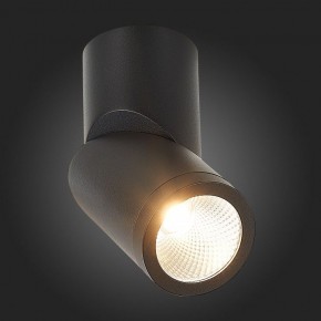 Светильник на штанге ST-Luce ST650 ST650.442.10 в Ревде - revda.mebel24.online | фото 6