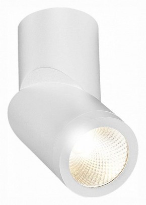 Светильник на штанге ST-Luce ST650 ST650.532.10 в Ревде - revda.mebel24.online | фото 3
