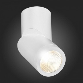Светильник на штанге ST-Luce ST650 ST650.532.10 в Ревде - revda.mebel24.online | фото 6