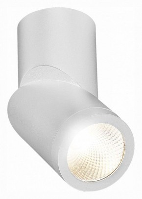 Светильник на штанге ST-Luce ST650 ST650.542.10 в Ревде - revda.mebel24.online | фото 3
