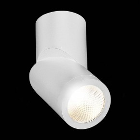 Светильник на штанге ST-Luce ST650 ST650.542.10 в Ревде - revda.mebel24.online | фото 5