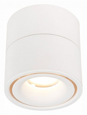Светильник на штанге ST-Luce ST652 ST652.532.12 в Ревде - revda.mebel24.online | фото 2
