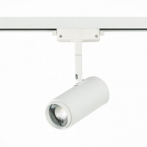 Светильник на штанге ST-Luce Zoom ST600.546.12 в Ревде - revda.mebel24.online | фото 3