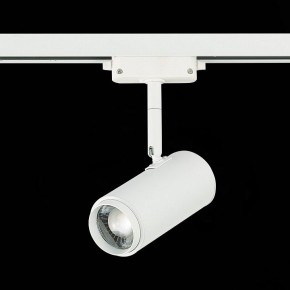 Светильник на штанге ST-Luce Zoom ST600.546.12 в Ревде - revda.mebel24.online | фото 5