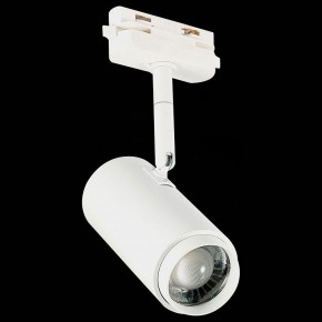 Светильник на штанге ST-Luce Zoom ST600.546.12 в Ревде - revda.mebel24.online | фото 6