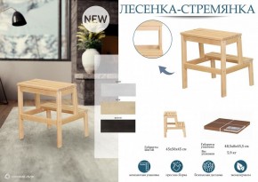 Табурет Стремянка в Ревде - revda.mebel24.online | фото 4